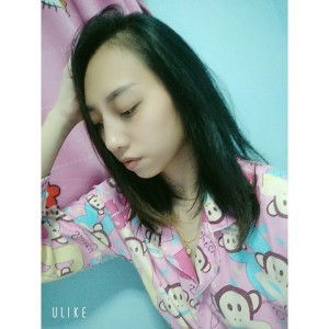 Bow Bow profile icon