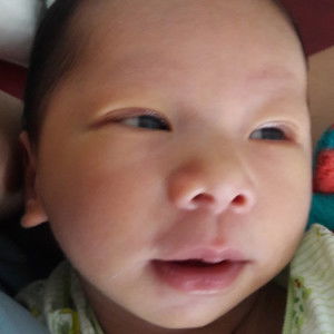 phimol phumnam profile icon