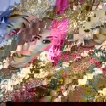 Sari Oktaliza profile icon