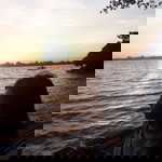 Tri Yuli profile icon