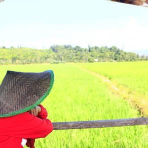 Harfiantii profile icon