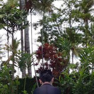 Steven Setiawan profile icon