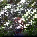 Steven Setiawan profile icon