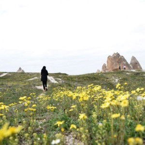 Nadiah As'ari profile icon