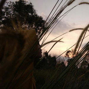 Elsa Lusi profile icon