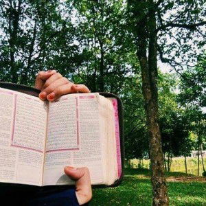 AliFiya Eka Anandari profile icon