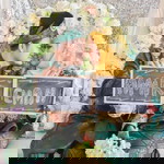 Siti Noor Fatimah profile icon