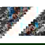 Melati Ningkeula profile icon