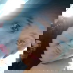 Che Yonkz profile icon