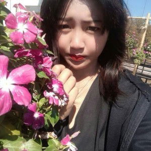 พี เอ เอ็น จี profile icon