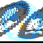 Romi Salsabil Rahmadi profile icon