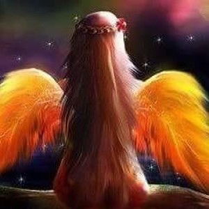 JOe Yangs Novelo profile icon