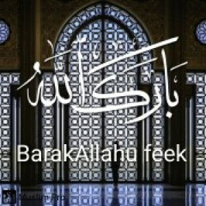 ainul nadhirah profile icon