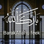 ainul nadhirah profile icon