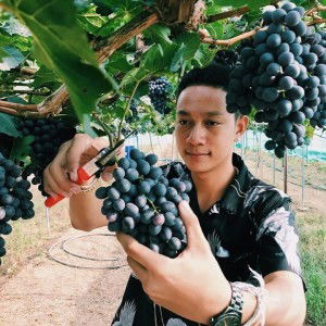 นรากร โหลยา profile icon