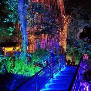 Nadia Farhana profile icon