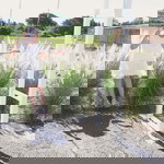 Suthasinee.H profile icon