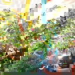 Rahj Bongor Arenas profile icon