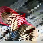 nor suhaila bt abd shukor profile icon