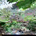 Neta Azzahra profile icon