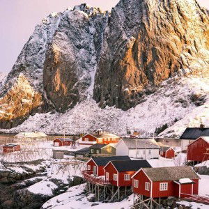 Nur Cahaya profile icon