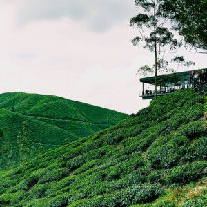 Farah Ali profile icon