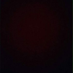 Navi Trang profile icon