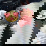 Nur Hidayah Hisham profile icon