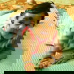 Sharmini Nair profile icon