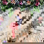 Lutfiana profile icon