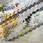 Keken Astuti profile icon