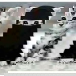 Cinta kirana profile icon