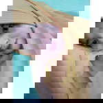 Yati Pesex profile icon