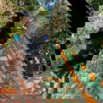 Maprang Preaw profile icon