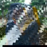 Che Nurazmiena profile icon