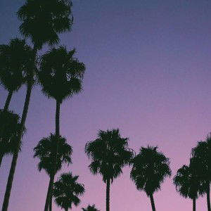 Cik Syaza profile icon