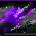 khris forbs profile icon