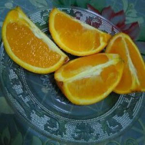 Nawal Ycb profile icon