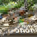 Maeneil Salitamos Almocera profile icon