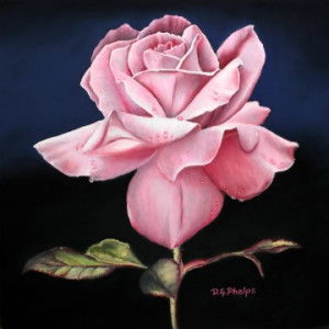 ummuShofiyyah profile icon