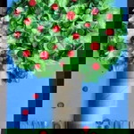 นูรฮา แมทาลง profile icon