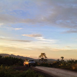 Brenda Lee profile icon