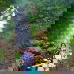 Anikhulwiyah profile icon