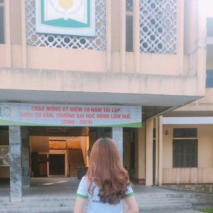 Quỳnh Nguyễn profile icon