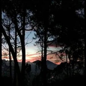 Fiah Pujianti profile icon