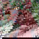 Aity Aity Gira profile icon