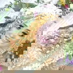 Umie Mieda profile icon