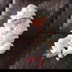 Miumiu Raphinphat profile icon