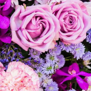 Ummu Bilqis profile icon