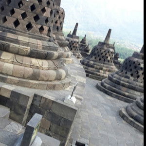 apri iriantiwi profile icon